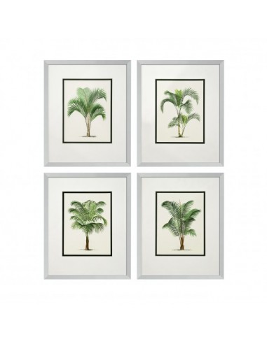 Prints Palms sur le site 